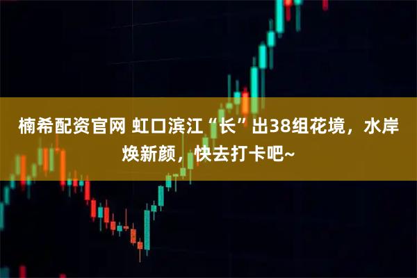 楠希配资官网 虹口滨江“长”出38组花境，水岸焕新颜，快去打卡吧~