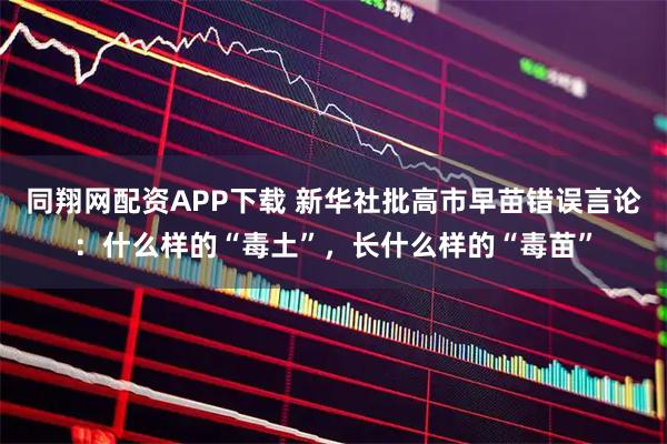 同翔网配资APP下载 新华社批高市早苗错误言论：什么样的“毒土”，长什么样的“毒苗”