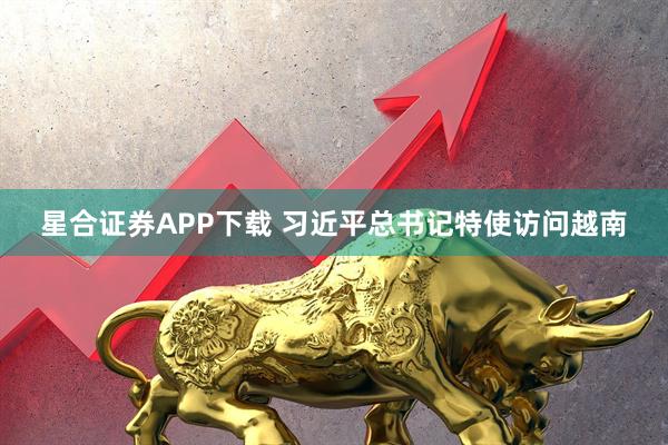 星合证券APP下载 习近平总书记特使访问越南