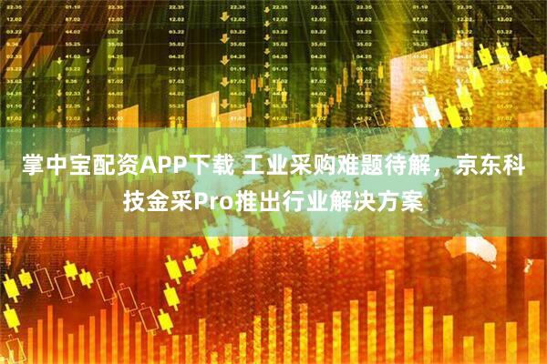 掌中宝配资APP下载 工业采购难题待解，京东科技金采Pro推出行业解决方案